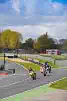 Middle 2 Group Yellow Bikes